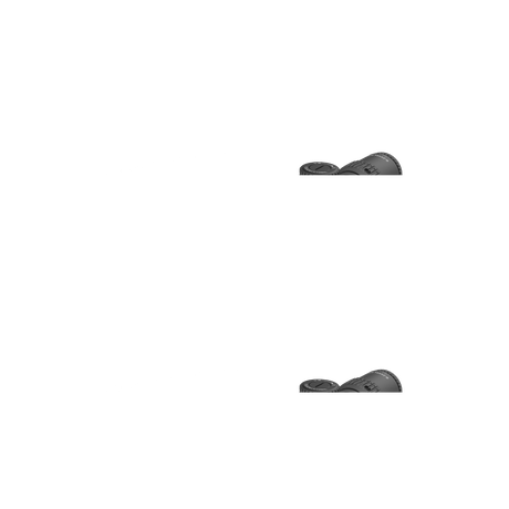 Vector Optics Veyron 6-24x44IR SFP συμπαγής διόπτρα τυφεκίου